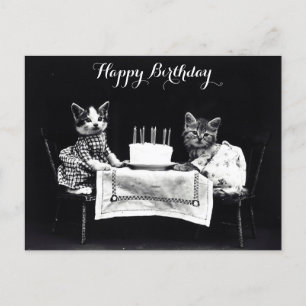 Postal Fiesta de Cumpleaños de Gato Vintage Adorable