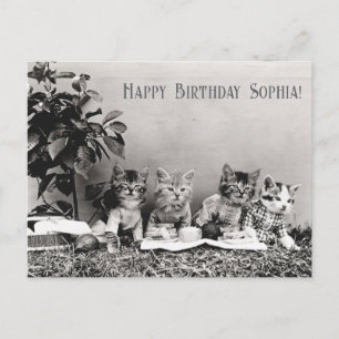 Postal Fiesta de Cumpleaños de Gatos Divertidos Vintage P