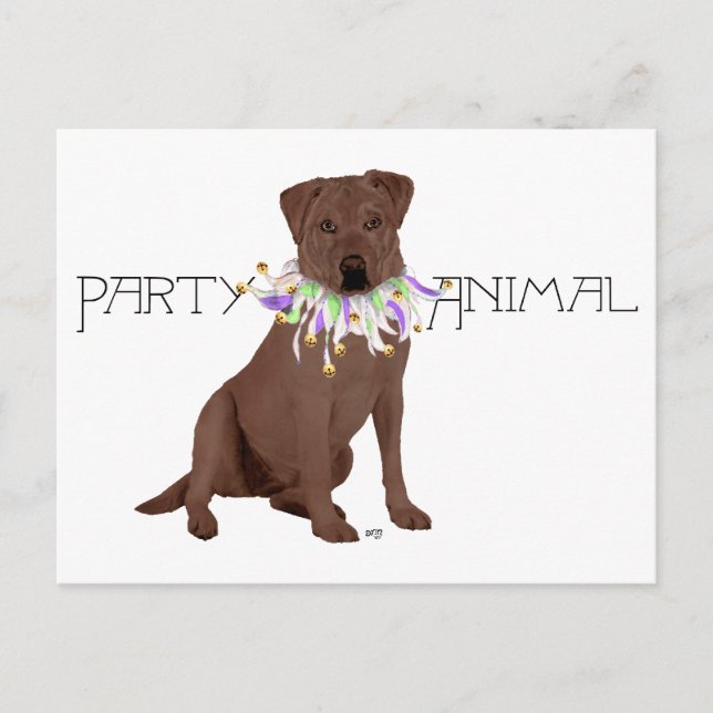 Postal Fiesta de Labrador Retriever de Chocolate (Anverso)