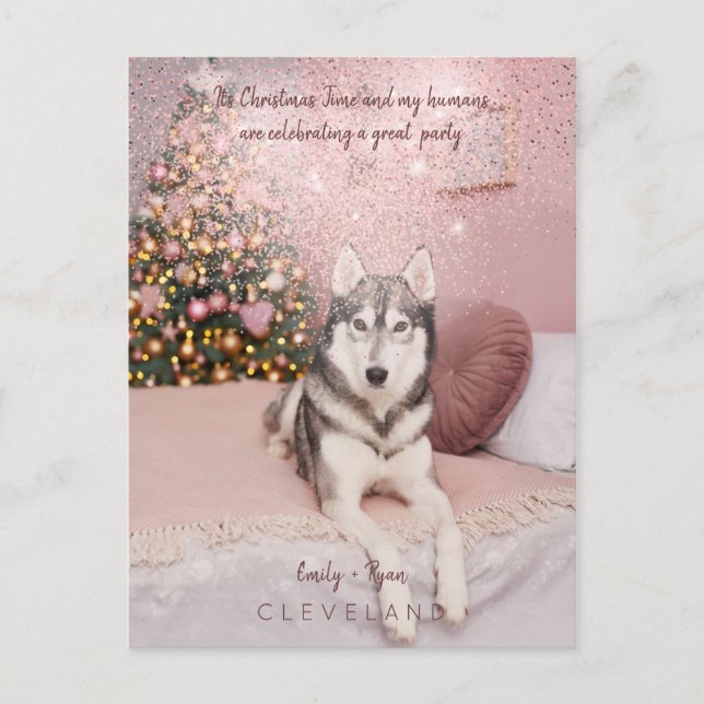 Postal Fiesta de Navidad sofisticada para mascotas en fot (Anverso)