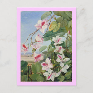Postal Fiesta de primavera floral rosa ducha Destino de a
