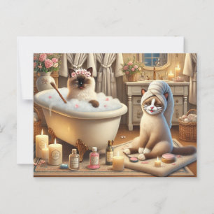 Postal Fiesta de Spa para los amantes del gato siameses