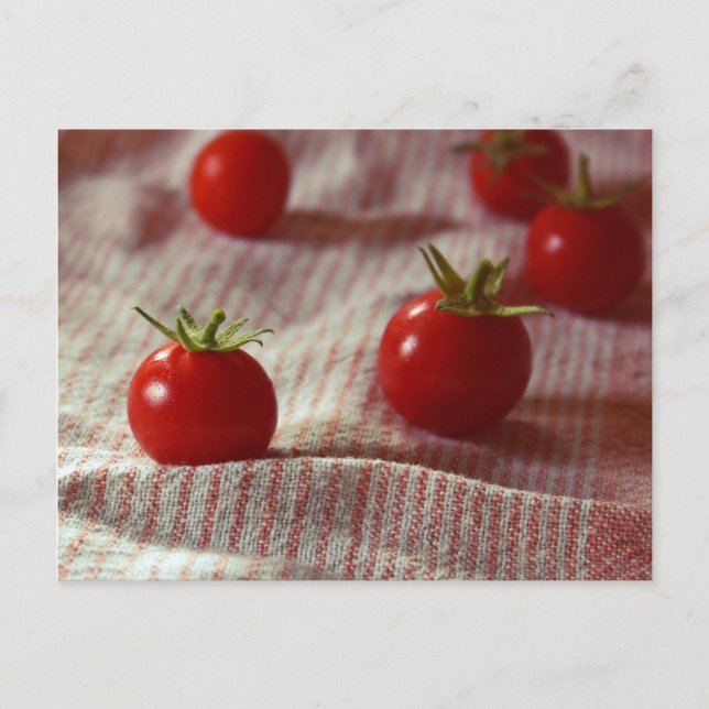 Postal "Fiesta de tomates" (Anverso)