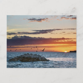 Postal Fiesta del Sol Pelican Rock, Isla Dauphin, Alabama