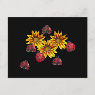 Postal Fiesta Ladybug