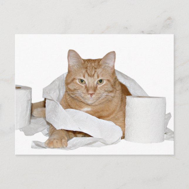 Postal fiesta salvaje (Anverso)