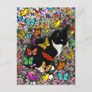 Postal Fiestas en mariposas - Gato de Tux Kitty