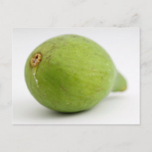 Postal Fig
