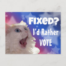 ¿Fijo? Prefiero votar