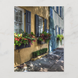 Postal Fila arcoiris.jpg