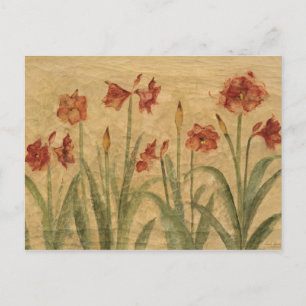 Postal Fila de Red Amaryllis