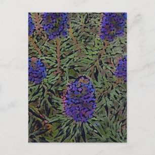 Postal Filas de Lavender