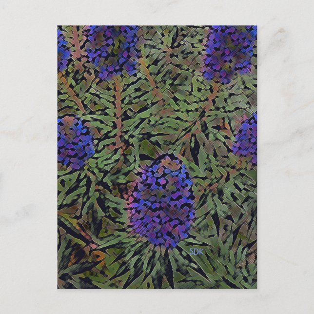 Postal Filas de Lavender (Anverso)