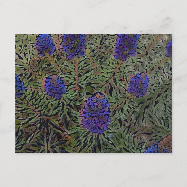 Postal Filas de Lavender (Anverso)