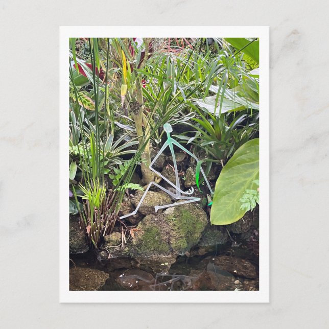 Postal Filas de palo de habitación para niños 1 | Conserv (Anverso)