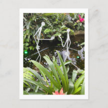 Filas de palo de habitación para orquídeas 2 | Con