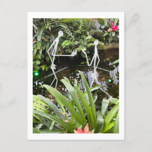 Postal Filas de palo de habitación para orquídeas 2   Con