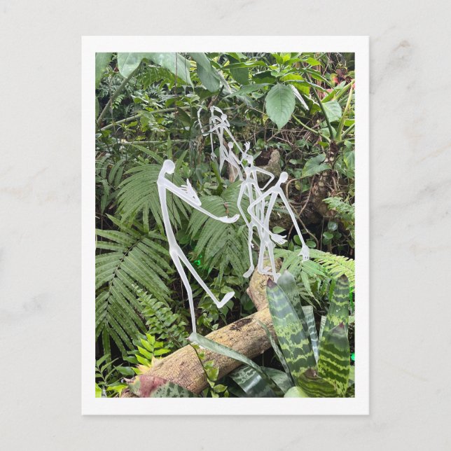 Postal Filas de palo de habitación para orquídeas 3 | Con (Anverso)