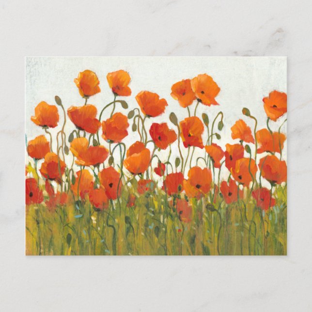 Postal Filas de Poppies I (Anverso)