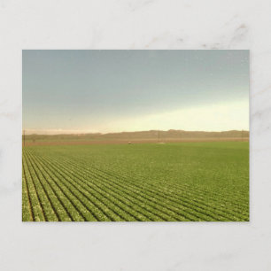 Postal Filas de tierras agrícolas del oeste en paisaje fo