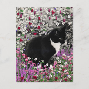 Postal Filas en flores II - Gato de Kitty Tuxedo
