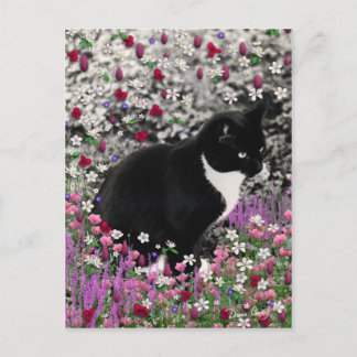 Postal Filas en flores II - Gato de Tuxedo