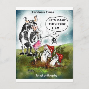 Postal Filosofía de hongos Regalos divertidos Tees y cole
