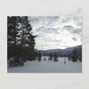 Postal Fin de un día nevado en el Parque Nacional Yellows
