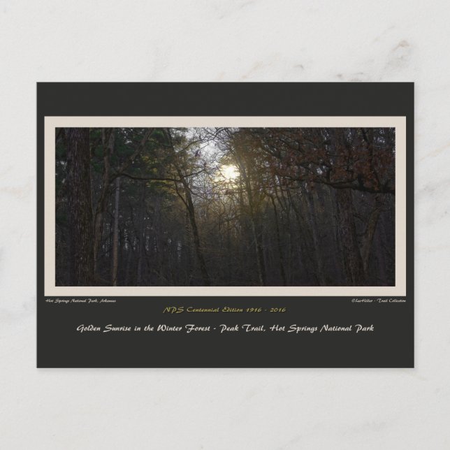 Postal Fin del centenario del bosque de invierno Golden S (Anverso)