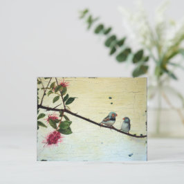Postal Finch Conversation Postcard
