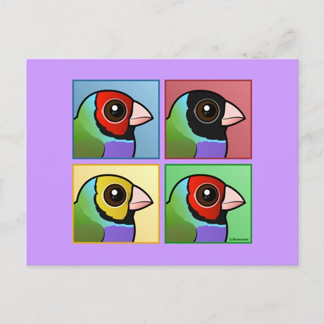 Postal Finch Gouldian de cuatro colores (Anverso)