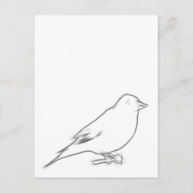 Postal Finch Sketch (Anverso)