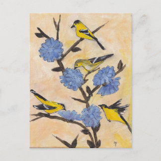 Postal Finches de achicoria