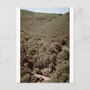 Postal Fingle Bridge Valle Arbolada Vintage Retrato