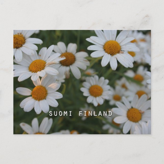 Postal Finlandia en Flores, 8 en una serie (Anverso)
