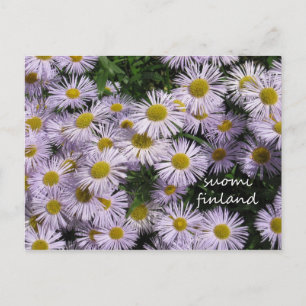 Postal Finlandia en Flores, segunda en una serie