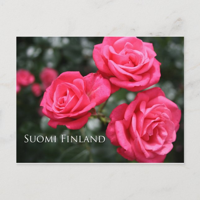 Postal Finlandia en Flores, tercera en una serie (Anverso)