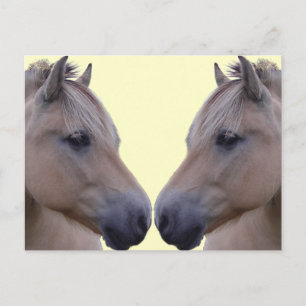 Postal Fiordo noruego