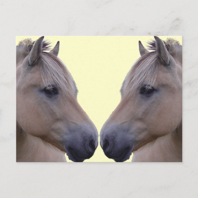 Postal Fiordo noruego (Anverso)