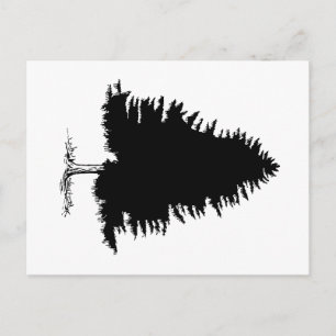 Postal Fir Tree