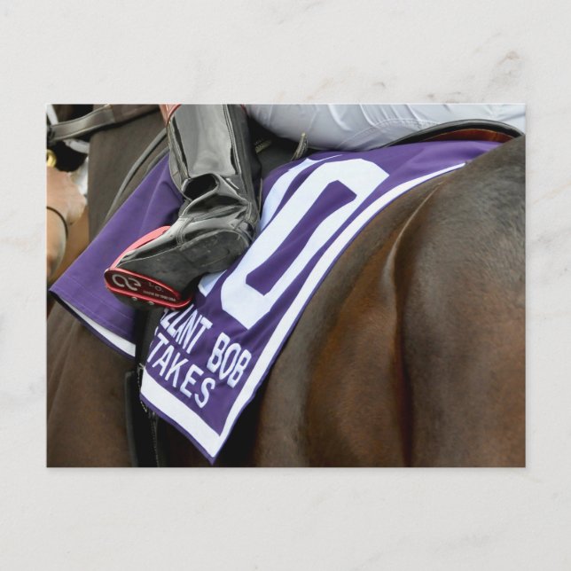 Postal Firenze Fire Saddlecloth (Anverso)