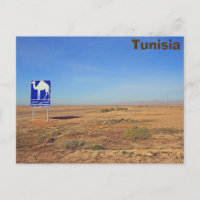 Firma de camellos, Túnez