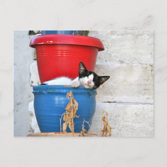 Postal Fiscardo, Kefalonia (Anverso)