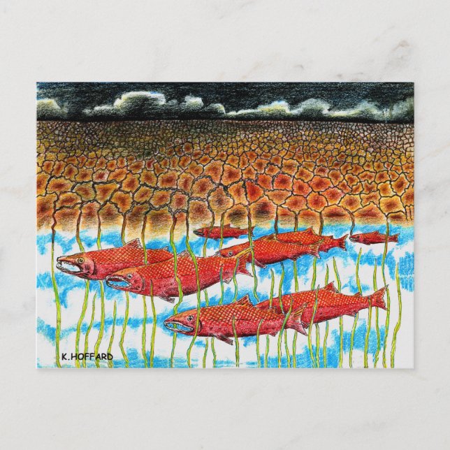 Postal Fish Dream (Anverso)