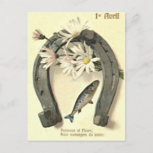 Postal Fish Horseshoe Daisy