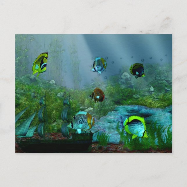 Postal Fish Tank Aquraium Art (Anverso)