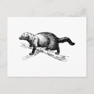 Postal Fisher