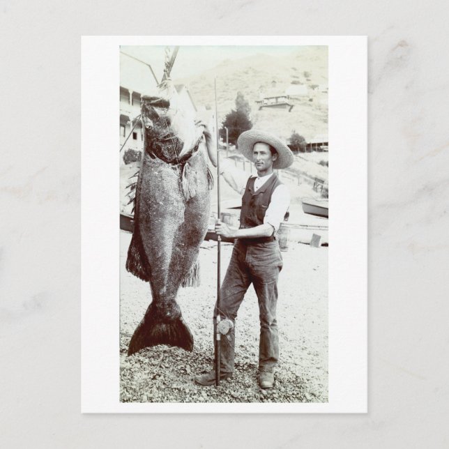 Postal Fisherman y Grouper Goliath del siglo XIX (Anverso)