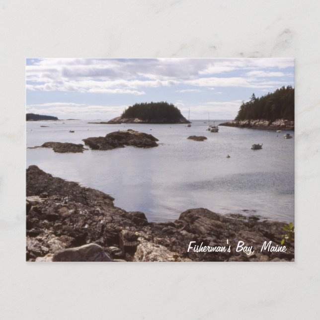 Postal Fisherman's Bay Maine (Anverso)