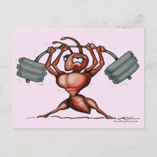 Postal Fitness Diva